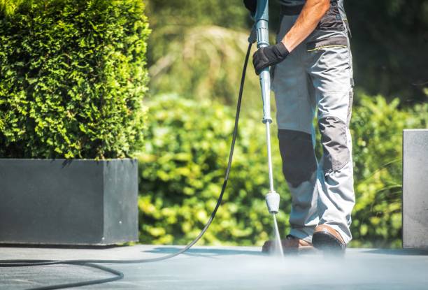 Best Fence Cleaning  in Dunean, SC